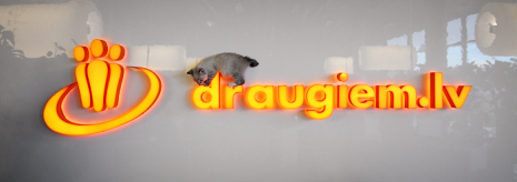 Draugu-kakis-03